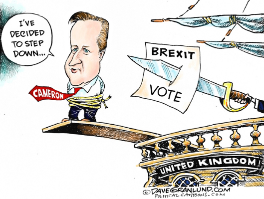 CAMERON STEPS DOWN PLANKjpg