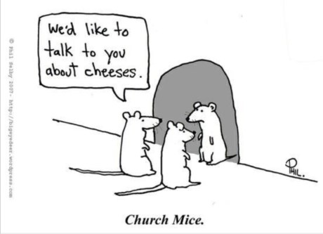 mice-want-to-talk-about-cheeses