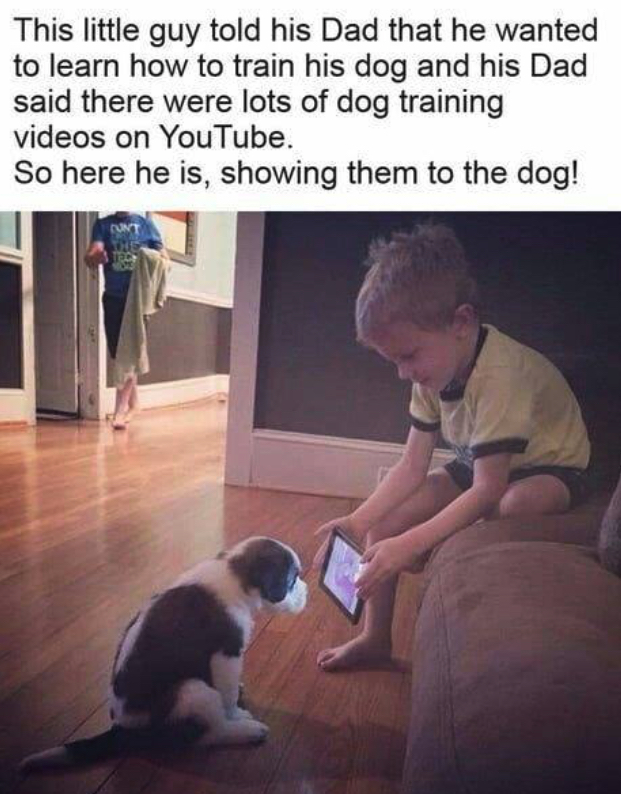KID SHOWING PUP TRAINING VIDEO